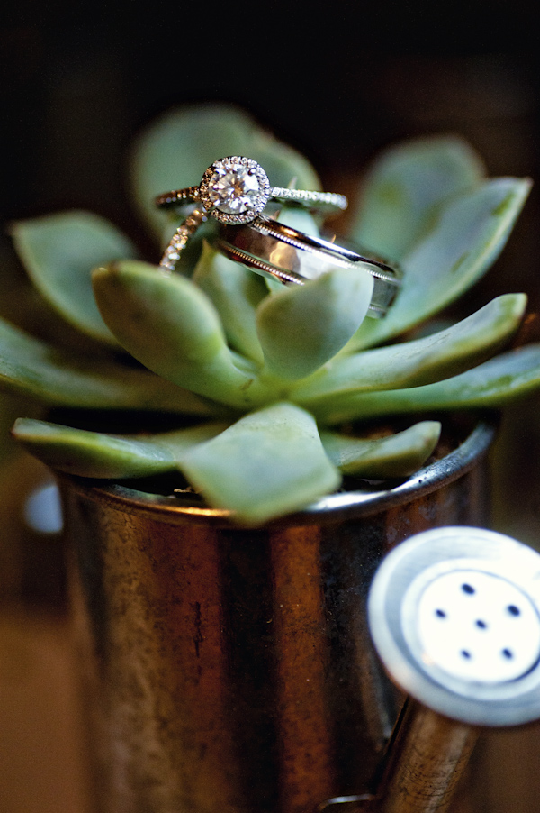 ring detail inside a watering can with plant - wedding photo by top Atlanta based wedding photographers Scobey Photography